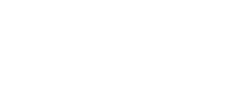 PIXL DUO 12